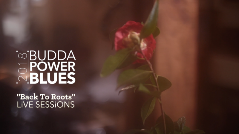 Budda Power Blues Back to Roots